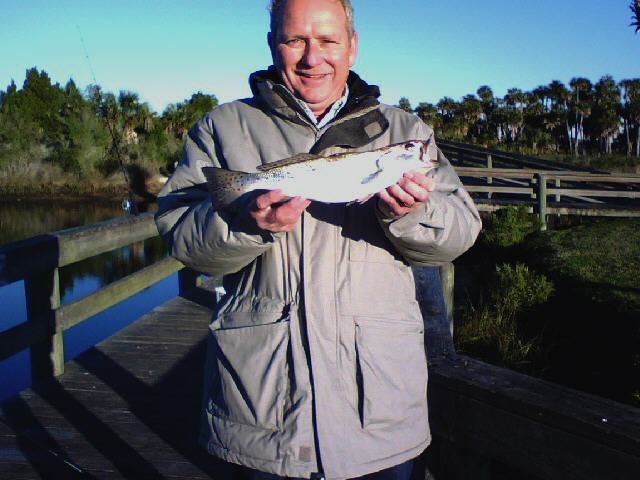 Spotted Sea Trout