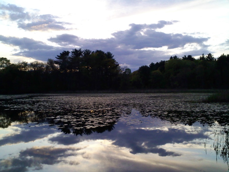 College Pond