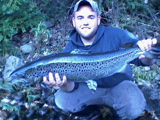 DAY 3 SHETUCKET RIVER SALMON