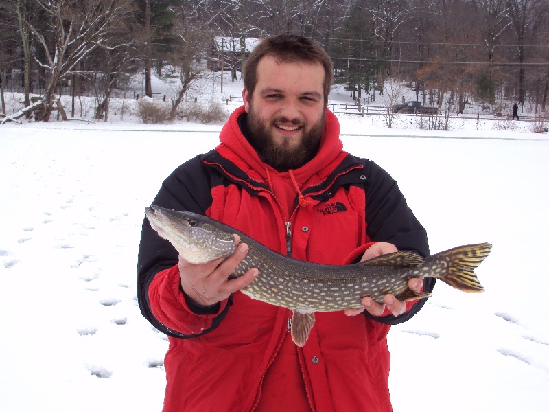 Northern Pike